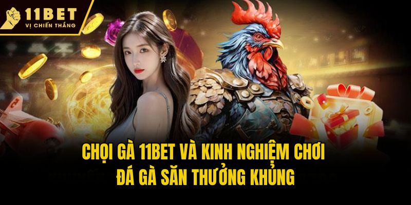 Chọi gà 11bet và kinh nghiệm chơi đá gà săn thưởng khủng